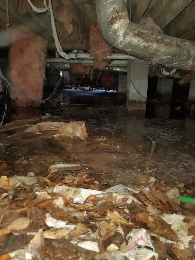 Crawl space flood assessment for Leak Detection & Repair in Summerlin South